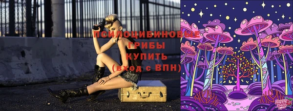 ешки Бугульма